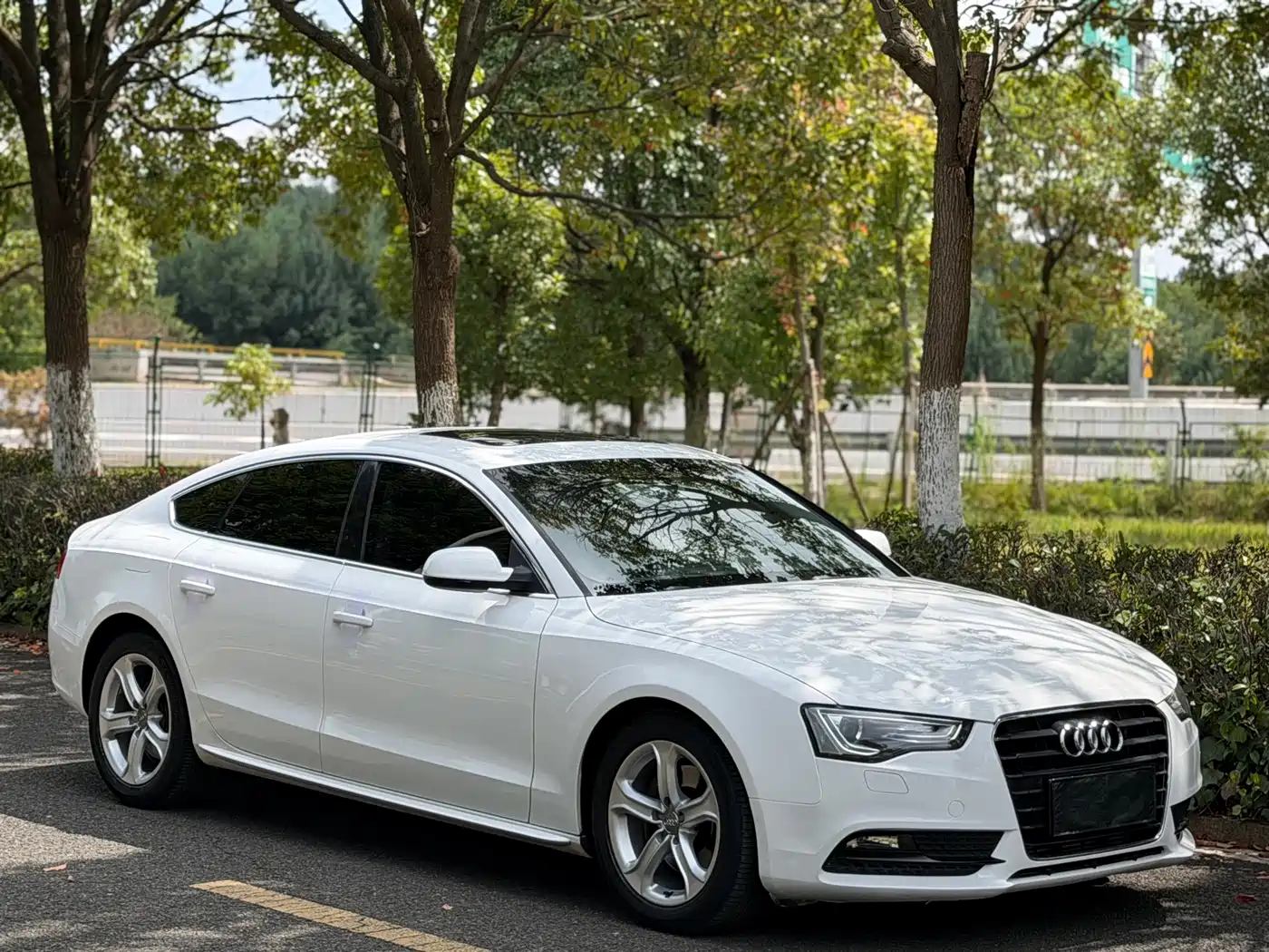 Audi A5 (Import) 2013 2013 Sportback 40 TFSI