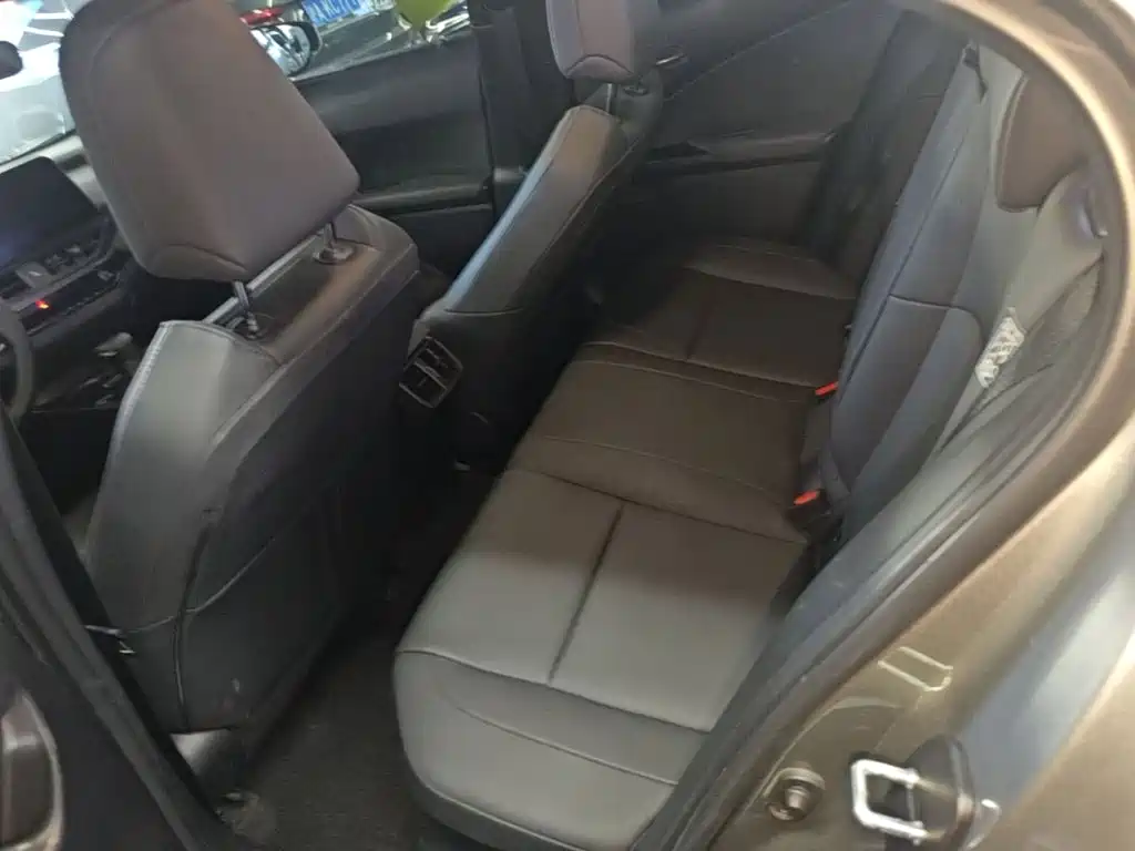 Lexus UX 2023 2022 260h Fun Edition