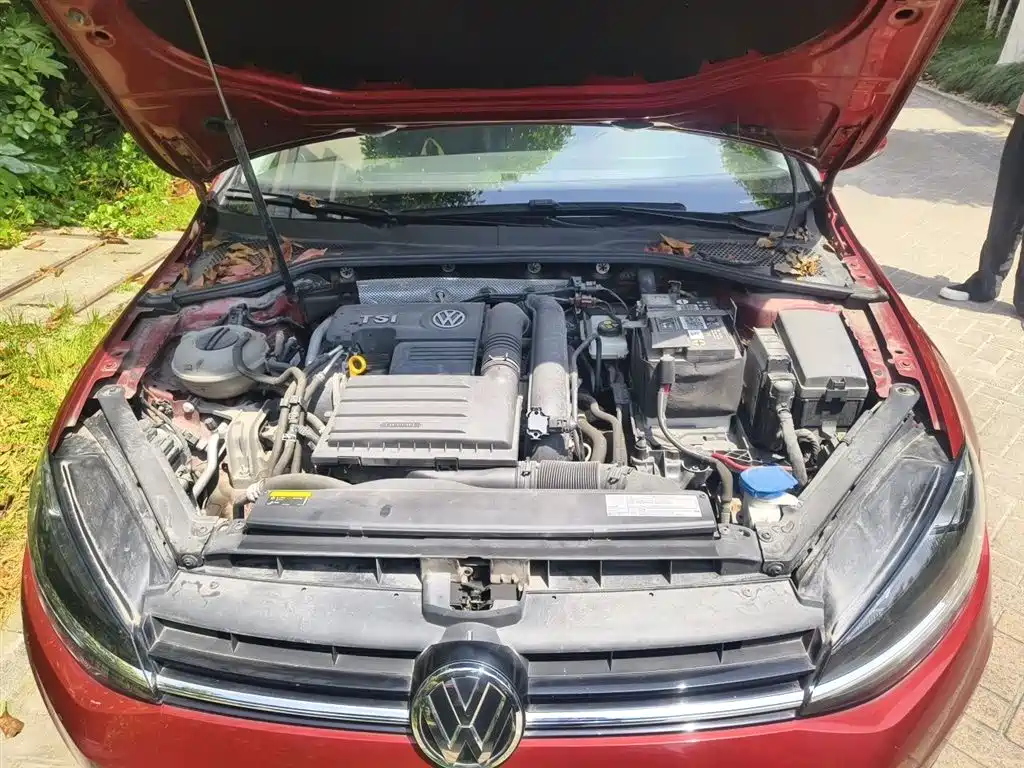 Volkswagen Golf 2018 230TSI Automatic Luxury фото 10