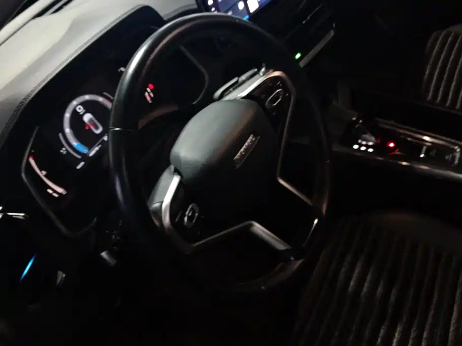 Haval Chitu 2022 2022 Power Edition 1.5T Purple Copper Rabbit