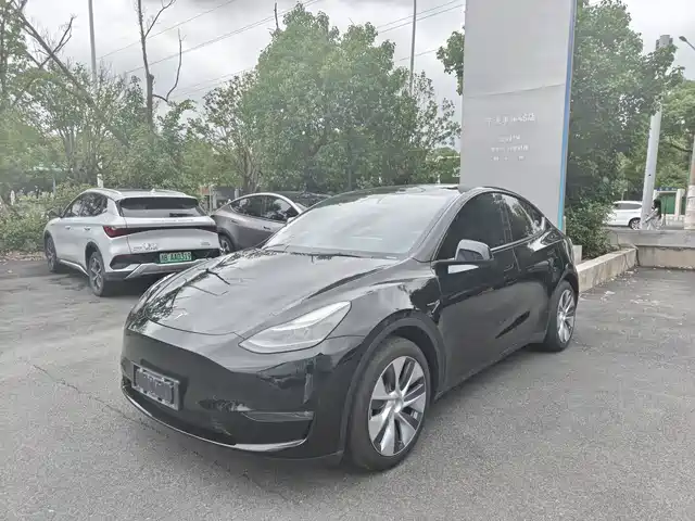 Tesla Model Y 2023 Rear-Wheel Drive Edition