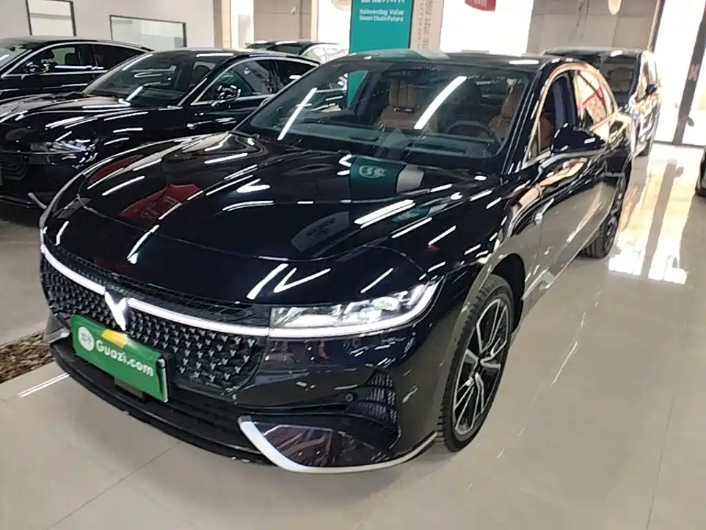 Voyah Auto VOYAH Zhuiguang 2024 PHEV AWD Ultra Long Range Flagship