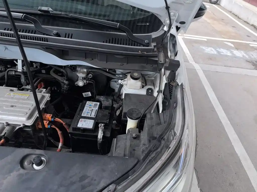 BYD Yuan Pro 2021 2021 401KM Luxury Model