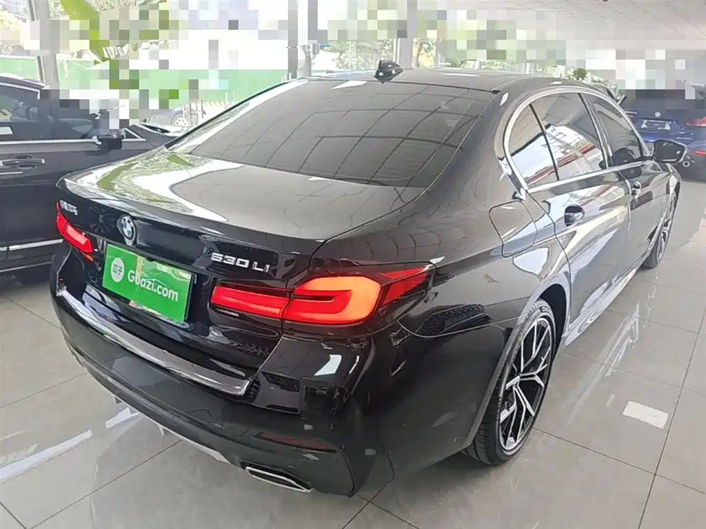 BMW 5 Series 2022 Model Third Facelift 530Li Premium M Sport Package фото 7