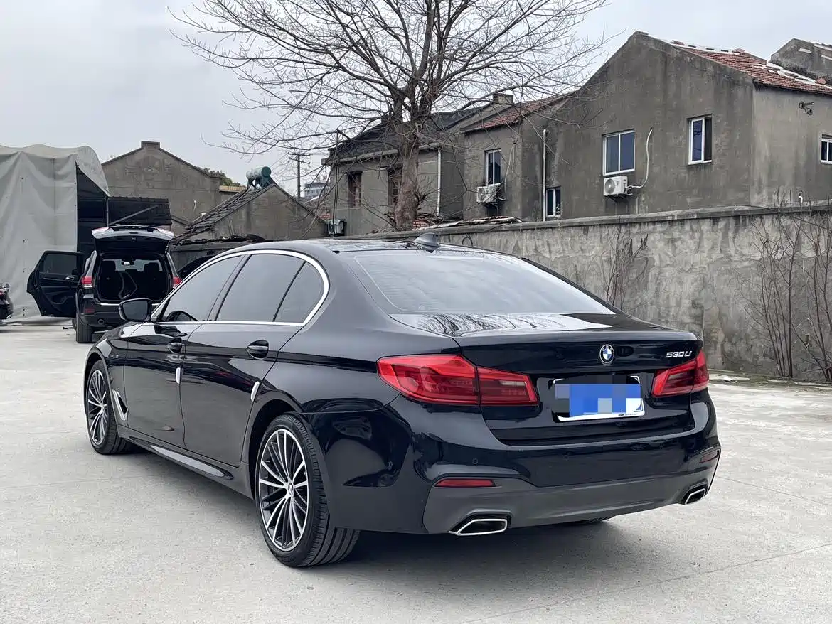 BMW 5 Series 2020 530Li Leading M Sport Package фото 15