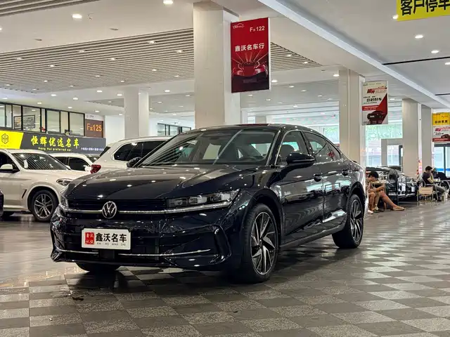  Volkswagen Magotan 2024 380TSI DSG Ultimate Edition
