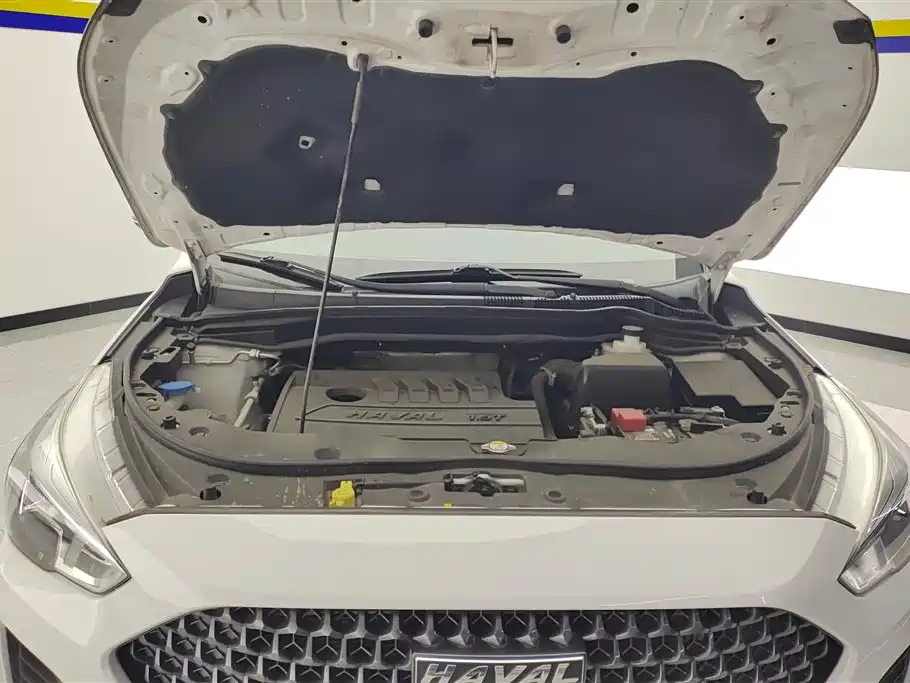 Haval M6 2019 1.5T DCT 2WD Elite Type China VI фото 10