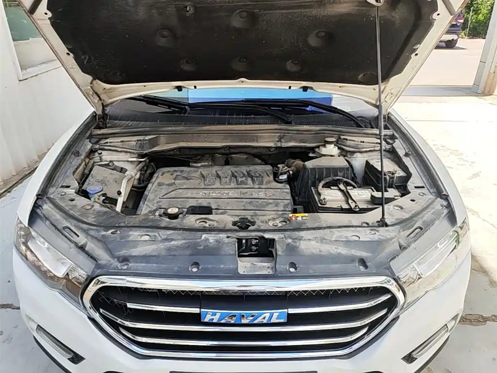Haval H6 Coupe 2016 Blue Label 1.5T Automatic 2WD Urban фото 20