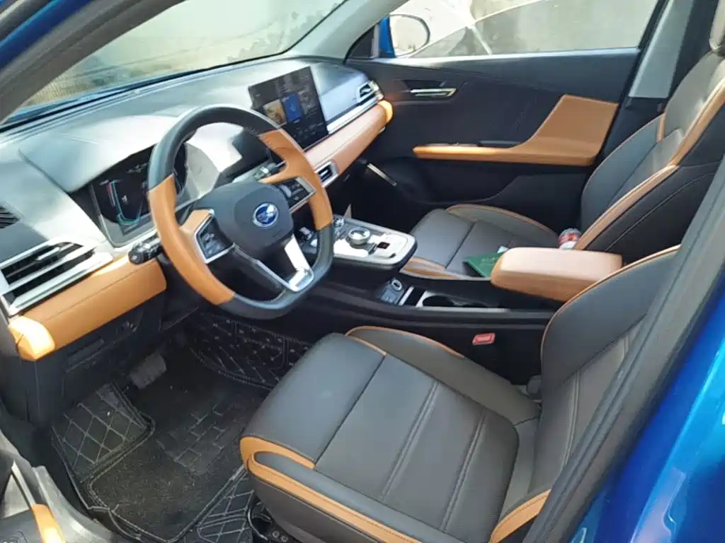 BYD e2 2021 2021 Luxury Edition