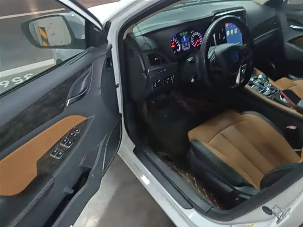 BYD Qin New Energy 2018 1.5T Smart Premium фото 16