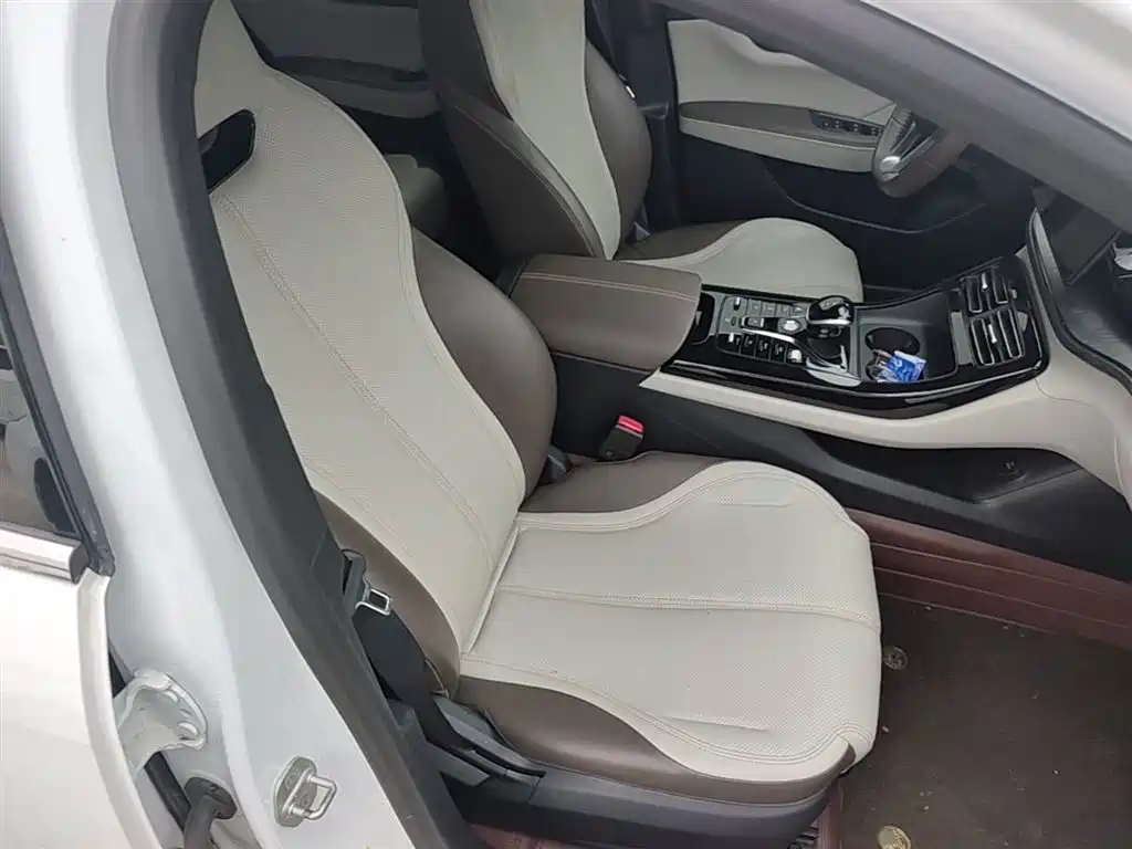 BYD Qin PLUS 2023 Champion Edition DM-i 55KM Leading фото 25