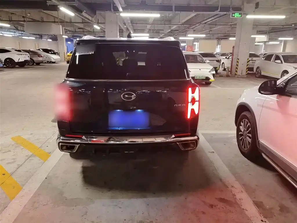 GAC Trumpchi Trumpchi GS8 2022 Dual Engine Series 2.0TM 2WD Premium Edition (7-Seater) фото 5