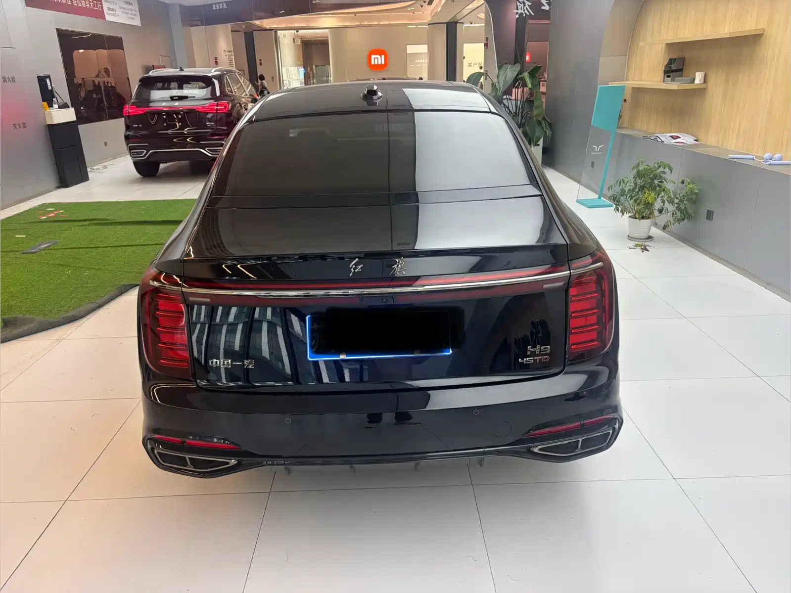 صورة 6 - Hongqi H9