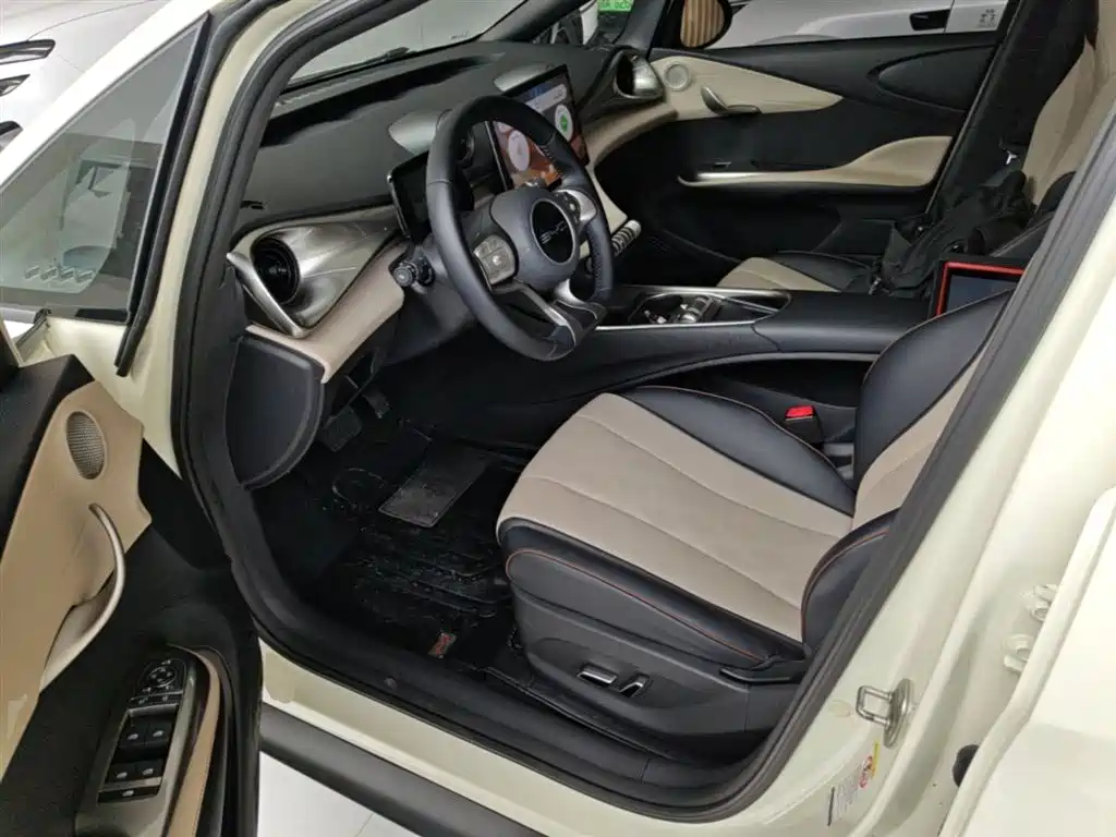 BYD Dolphin 2023 420km Fashion Edition фото 16