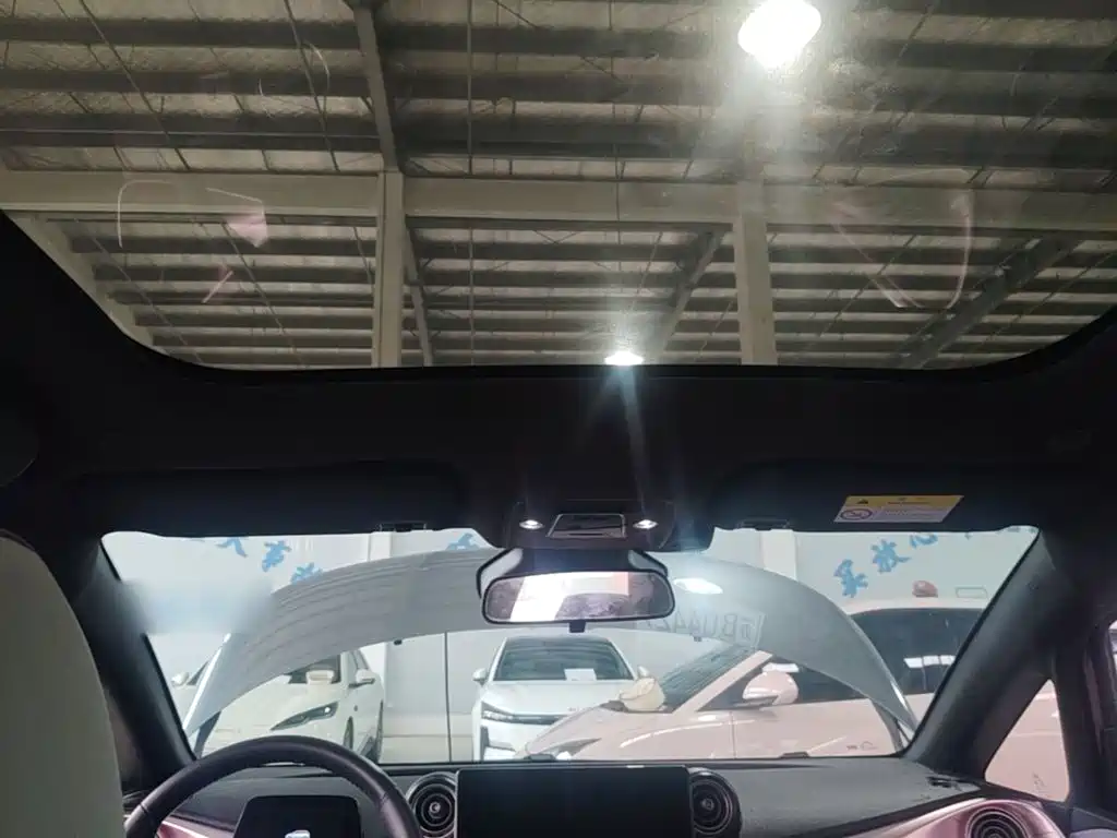 BYD Dolphin 2022 2021 401km Knight Edition