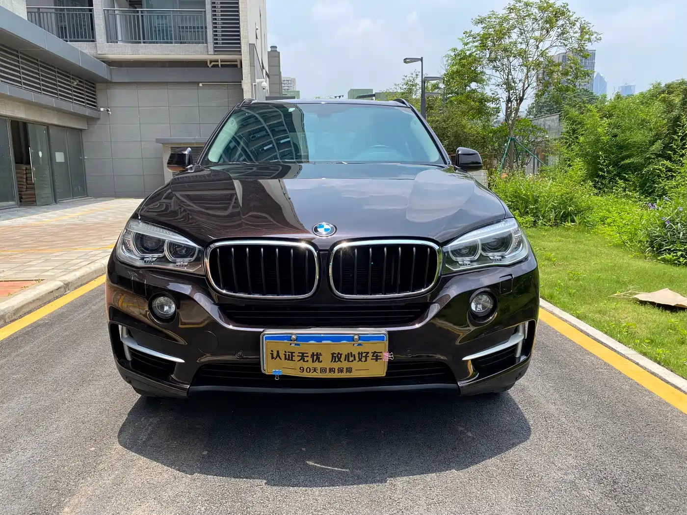 BMW X5 (Import) 2014 xDrive35i Leading фото 3