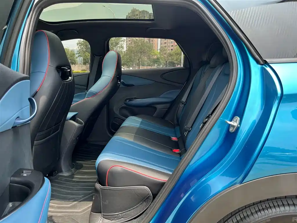 BYD Dolphin 2021 Model 405km Fashion Edition фото 13