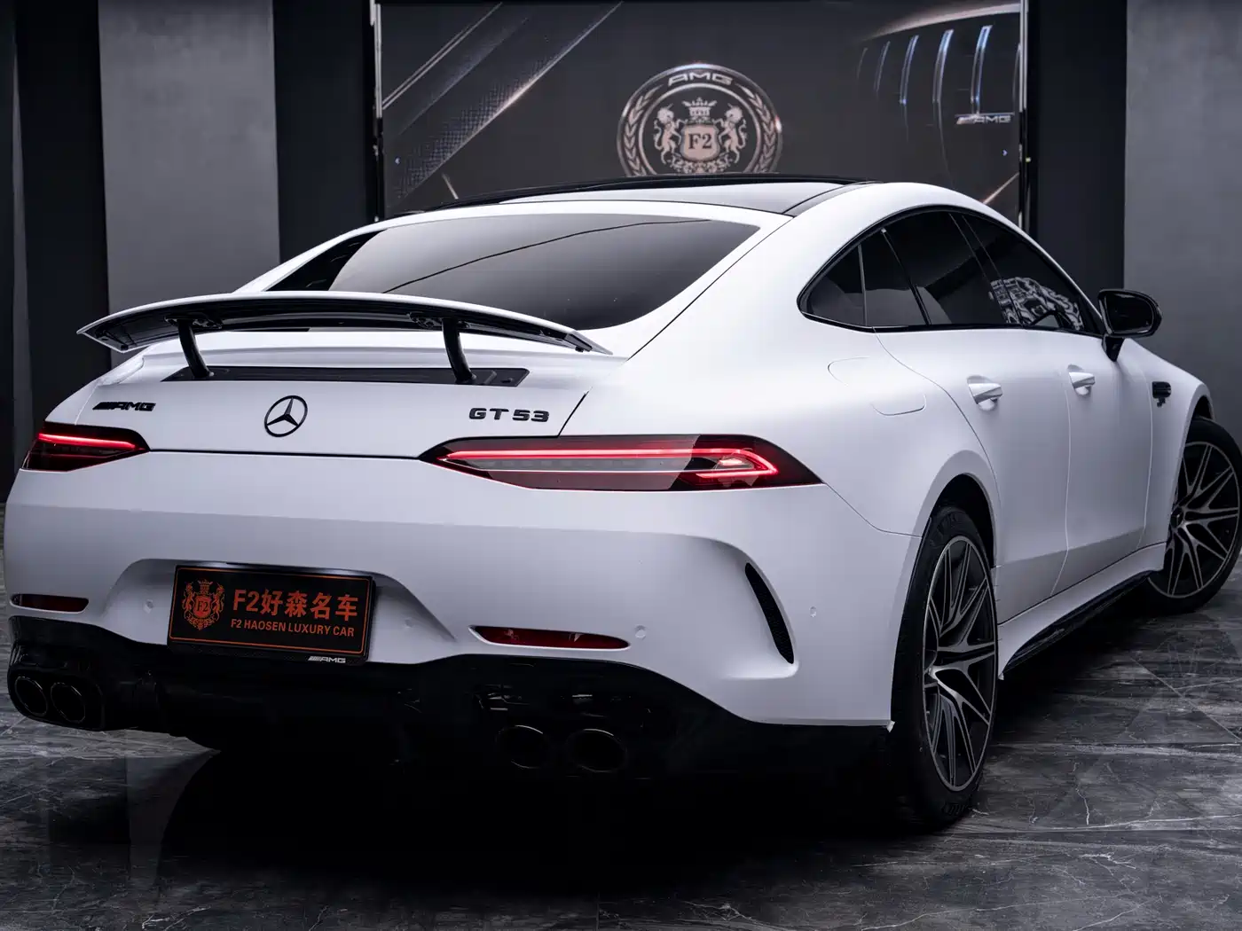 Mercedes-Benz AMG GT 2022 AMG GT 50 4MATIC+ 4-Door Coupe China Edition фото 11