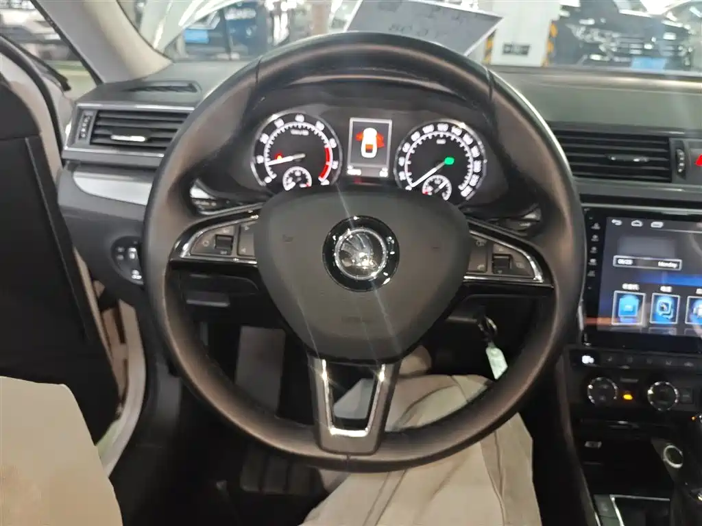 Škoda Superb 2016 TSI280 DSG Pioneer Edition фото 11