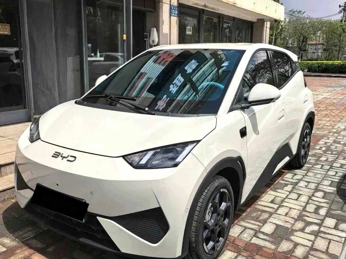 BYD Seagull 2025 Smart Drive Edition 305km Freedom Version фото 2