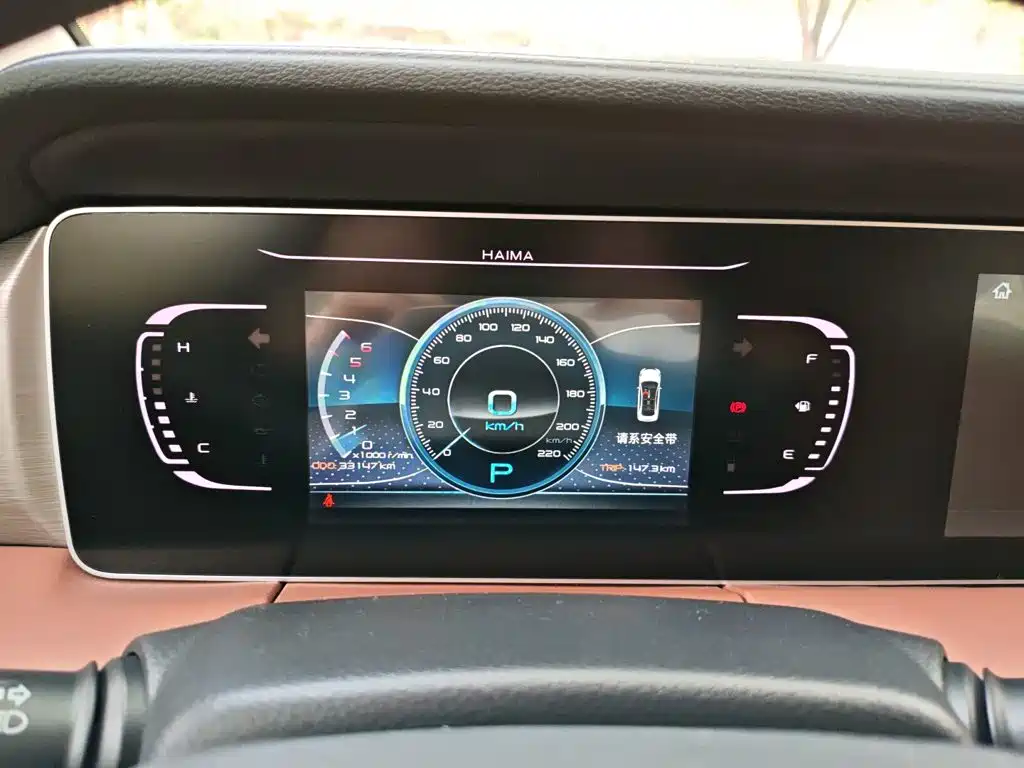 Фото 8 - Haima 7X