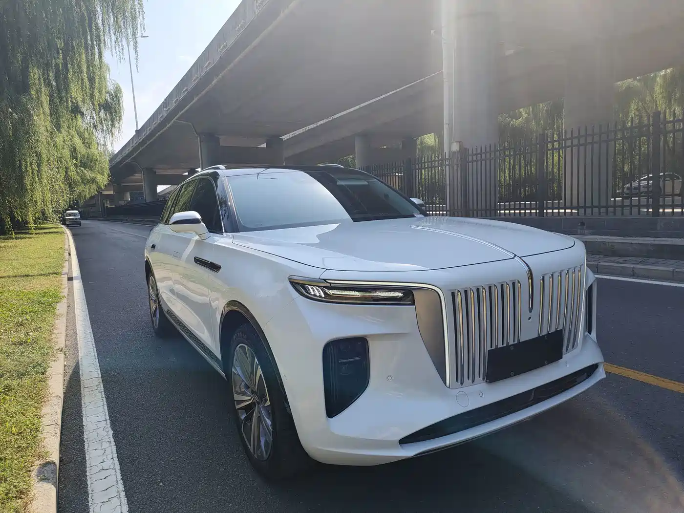 Hongqi E-HS9 2023 2022 690km Qi Xiang Edition (6-seater)