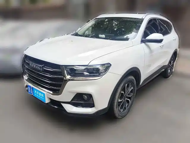  Haval Haval H6 2021 National Trend Edition 1.5T Automatic Urban Edition