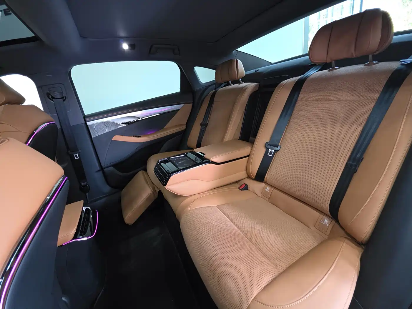 Voyah Passion 2024 2024 PHEV AWD Ultra Long Range Flagship