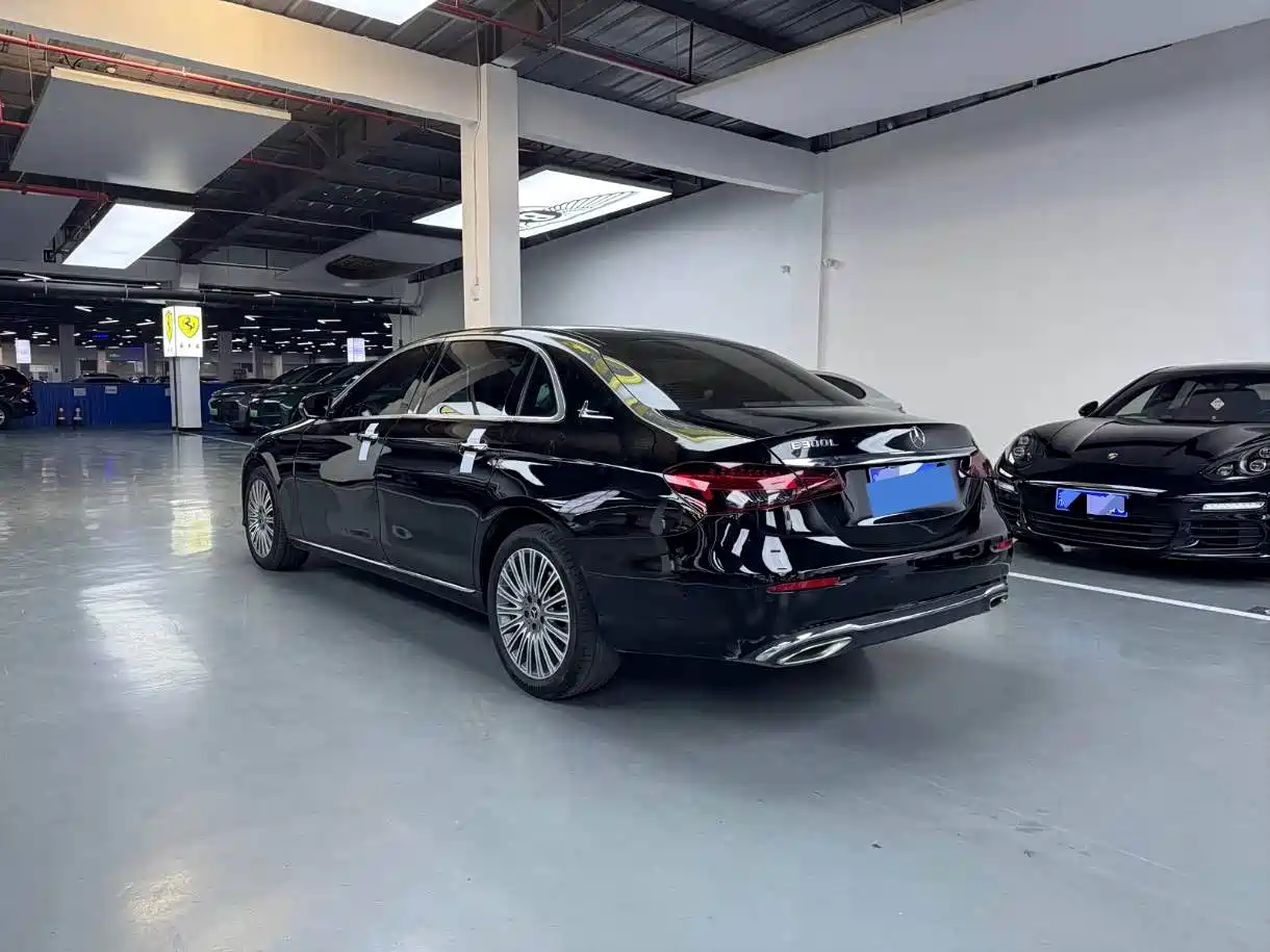 Mercedes-Benz E-Class 2020 E 300 L Fashion фото 13