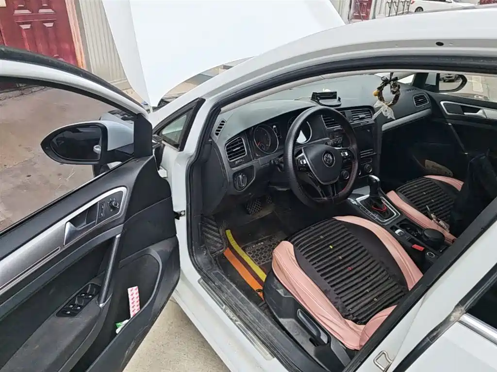 Volkswagen Golf 2019 200TSI DSG Comfort Progressive China VI фото 14