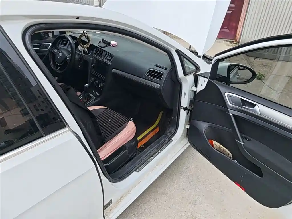 Volkswagen Golf 2019 200TSI DSG Comfort Progressive China VI фото 20