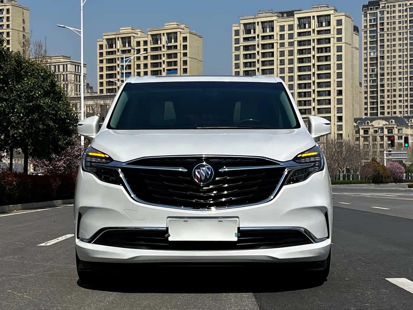Buick GL8 2022 ES Landmark 653T Comfort фото 2
