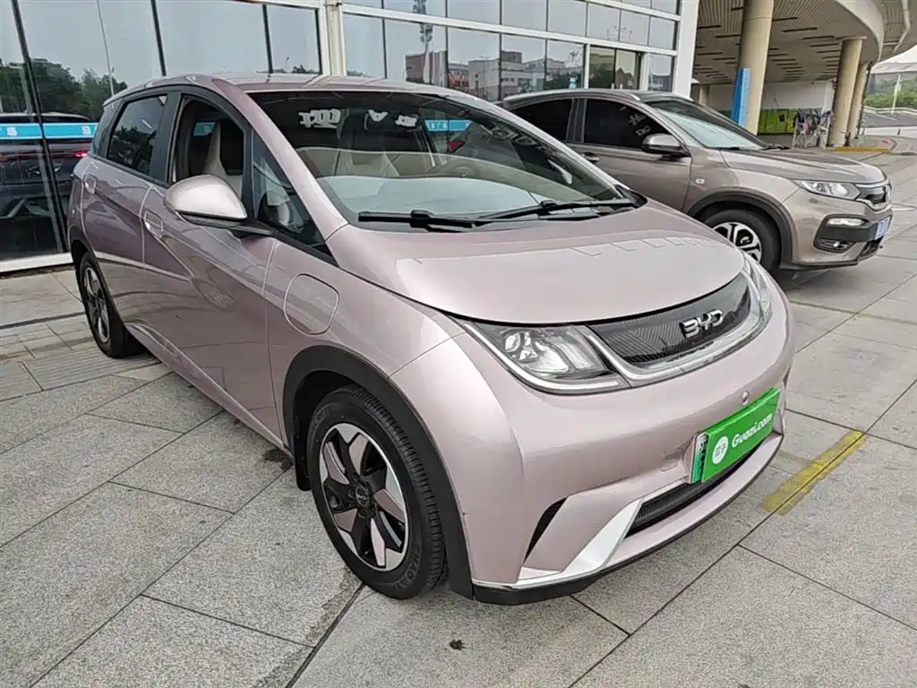 BYD Dolphin 2024 Glory Edition 420km Freedom Edition фото 4