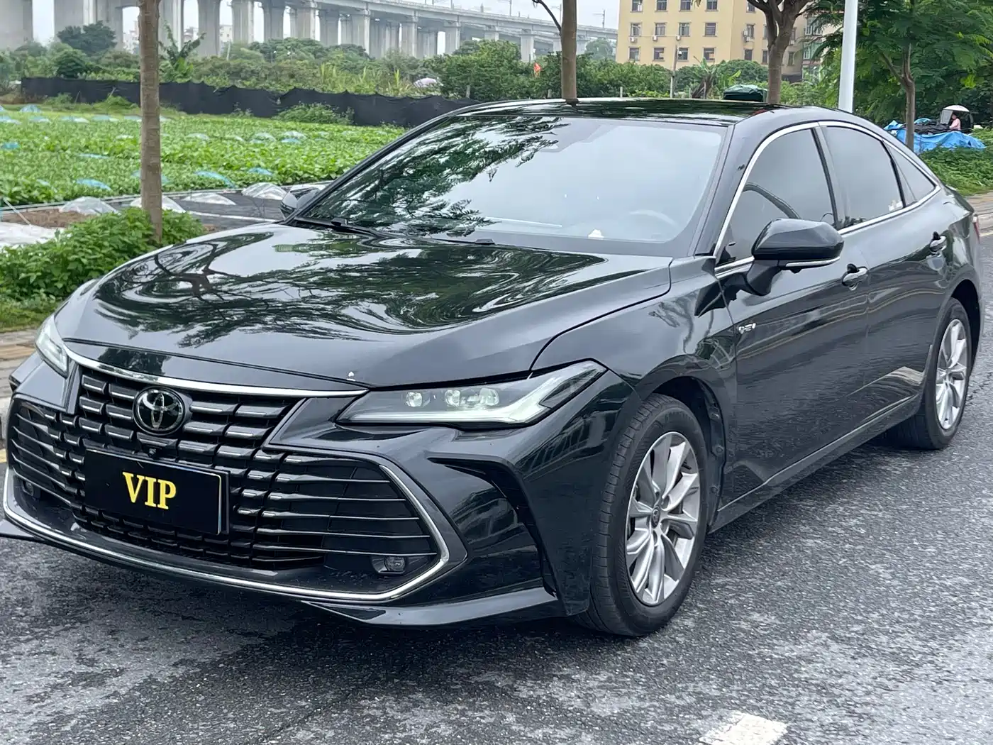 Toyota Avalon 2024 Model Hybrid 2.0L Premium Selection Edition