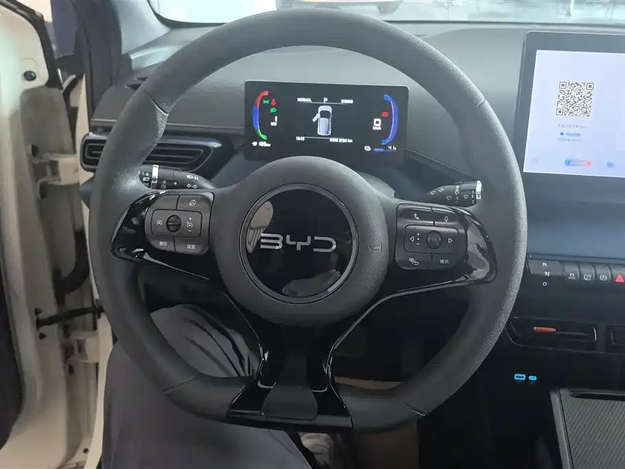 BYD Seagull 2024 Glory Edition 305km Vitality Edition фото 15
