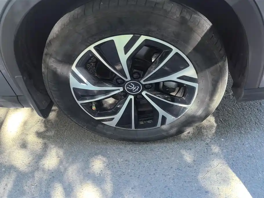 BYD Song Pro New Energy 2025 2nd Gen DM-i 75KM Leading Type фото 6
