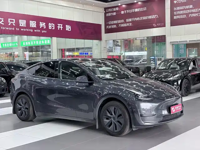 Tesla Model Y 2024 Rear-Wheel Drive Version — фото 2