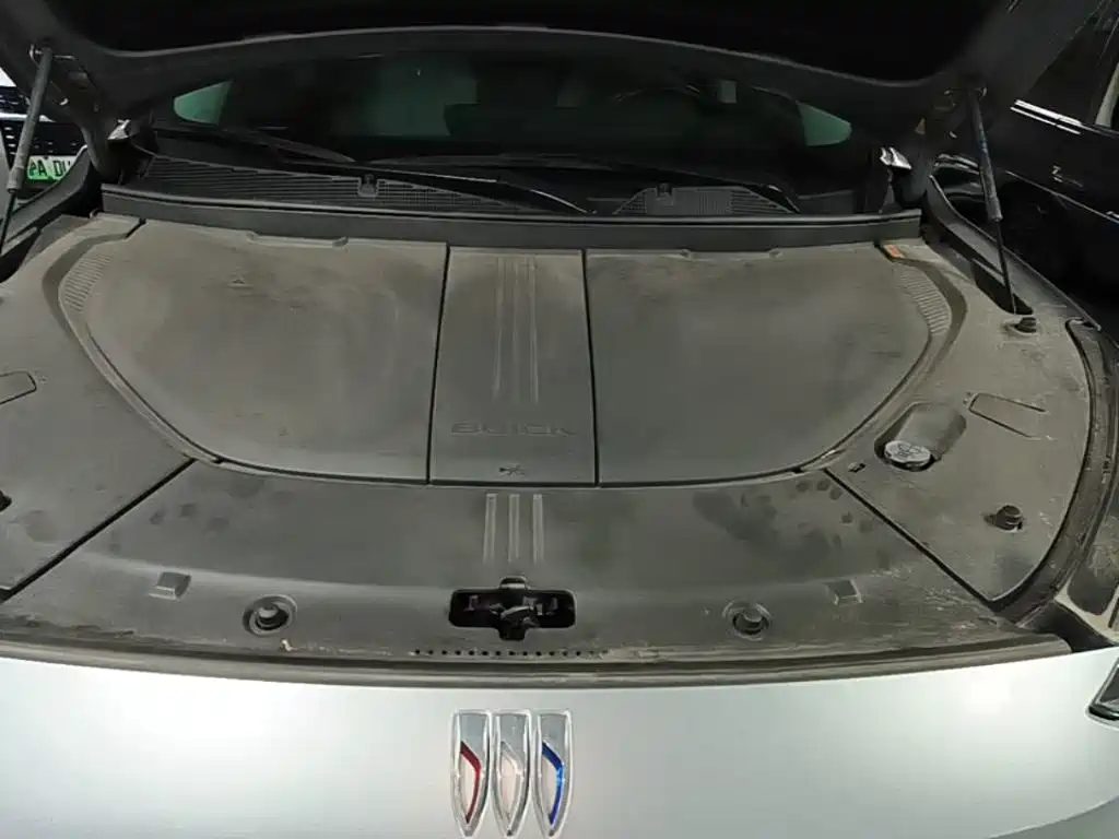 Фото 20 - Buick E5