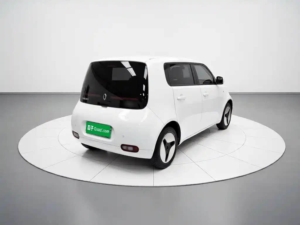 Ora White Cat 2020 2020 360km Luxury Model