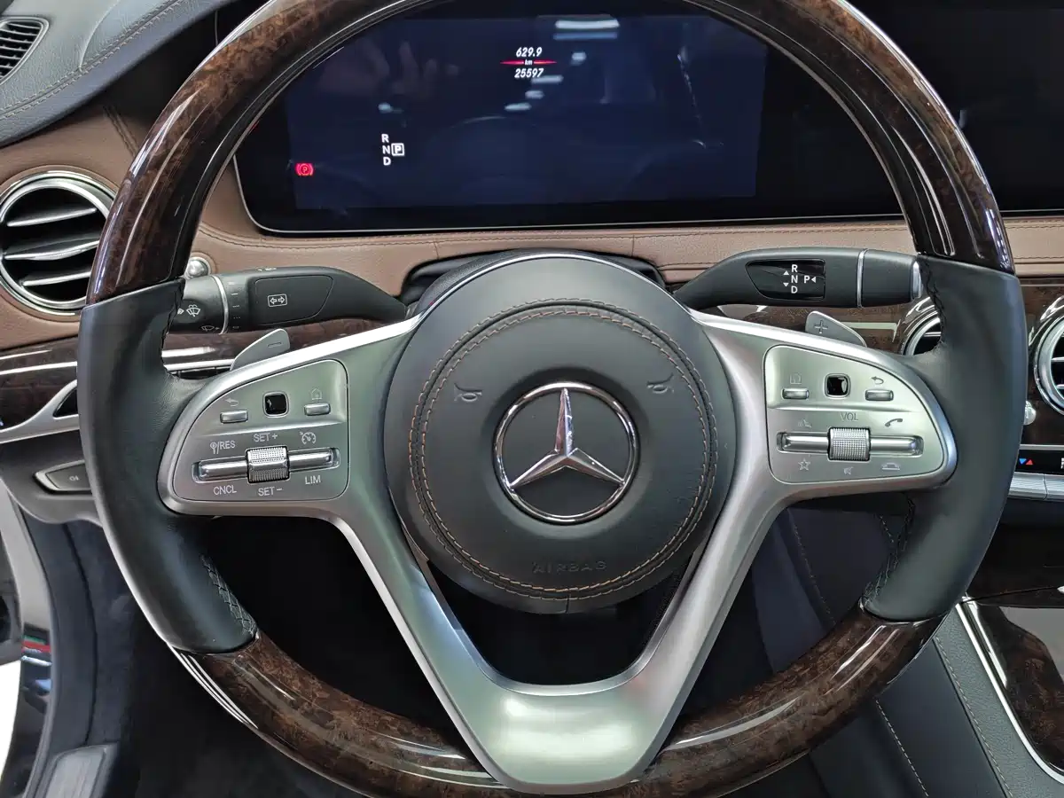 Mercedes-Benz S-Class 2020 S 350 L Premium Edition Collector's Version фото 7