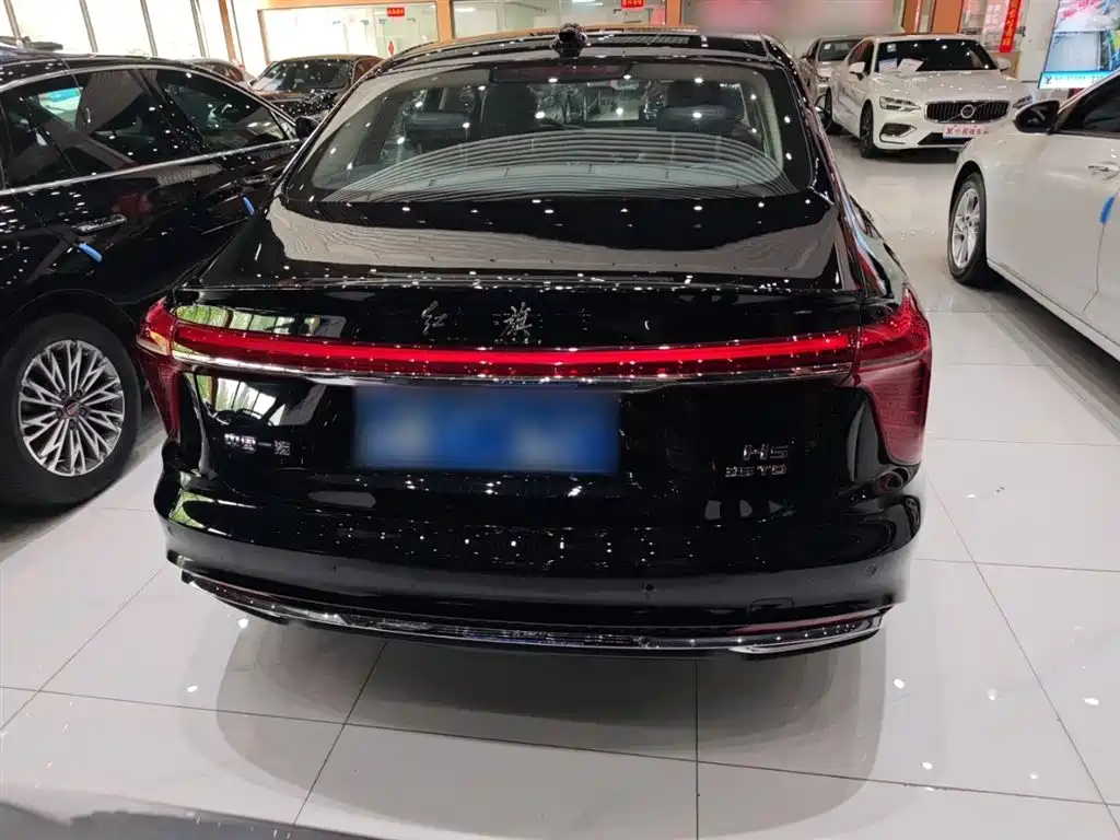 Hongqi H5 2025 1.5T DCT Flag Rhythm 500,000 Units Memorial Edition фото 10