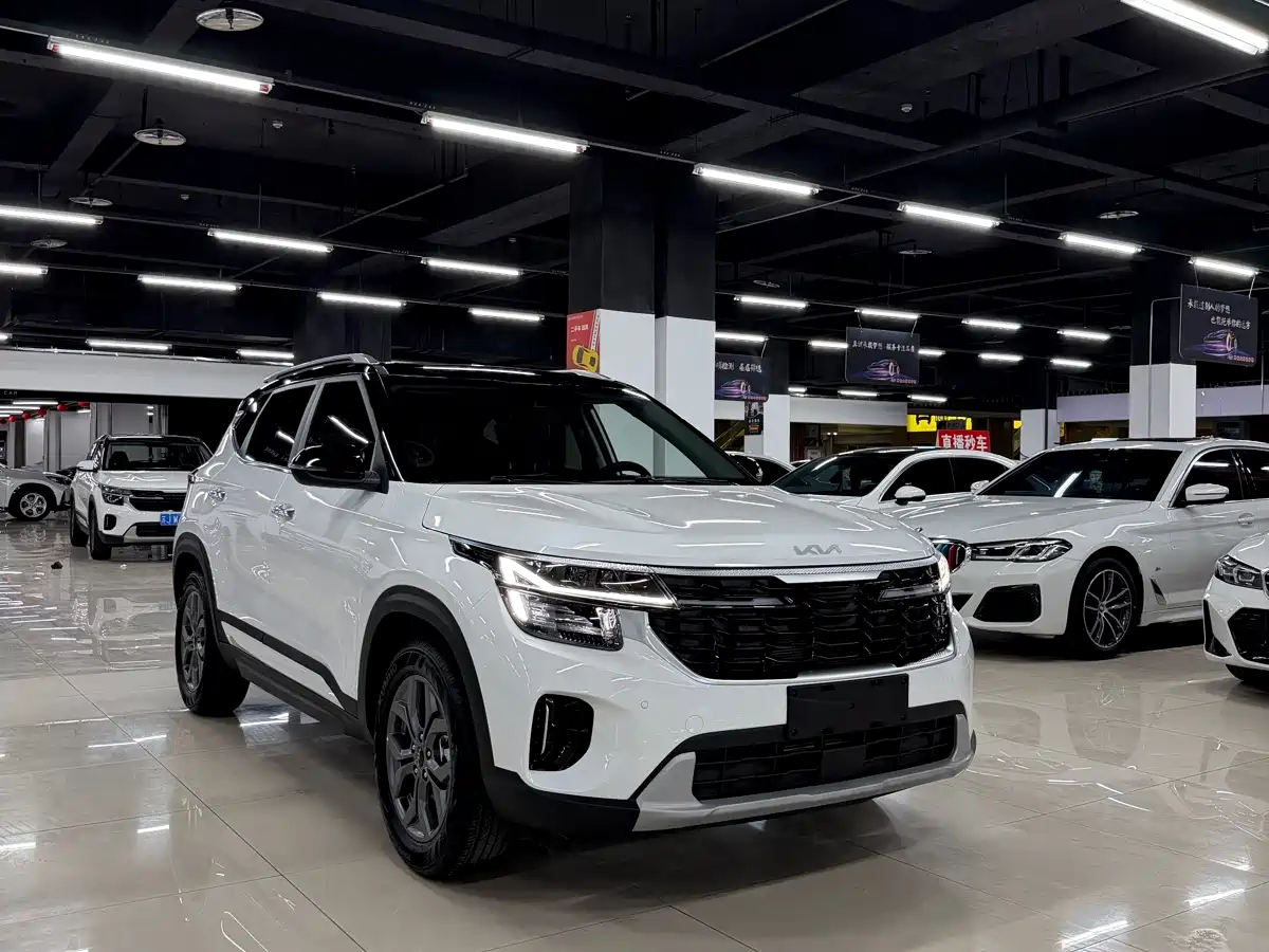 Kia Seltos 2026 1.5L IVT Luxury Edition фото 2