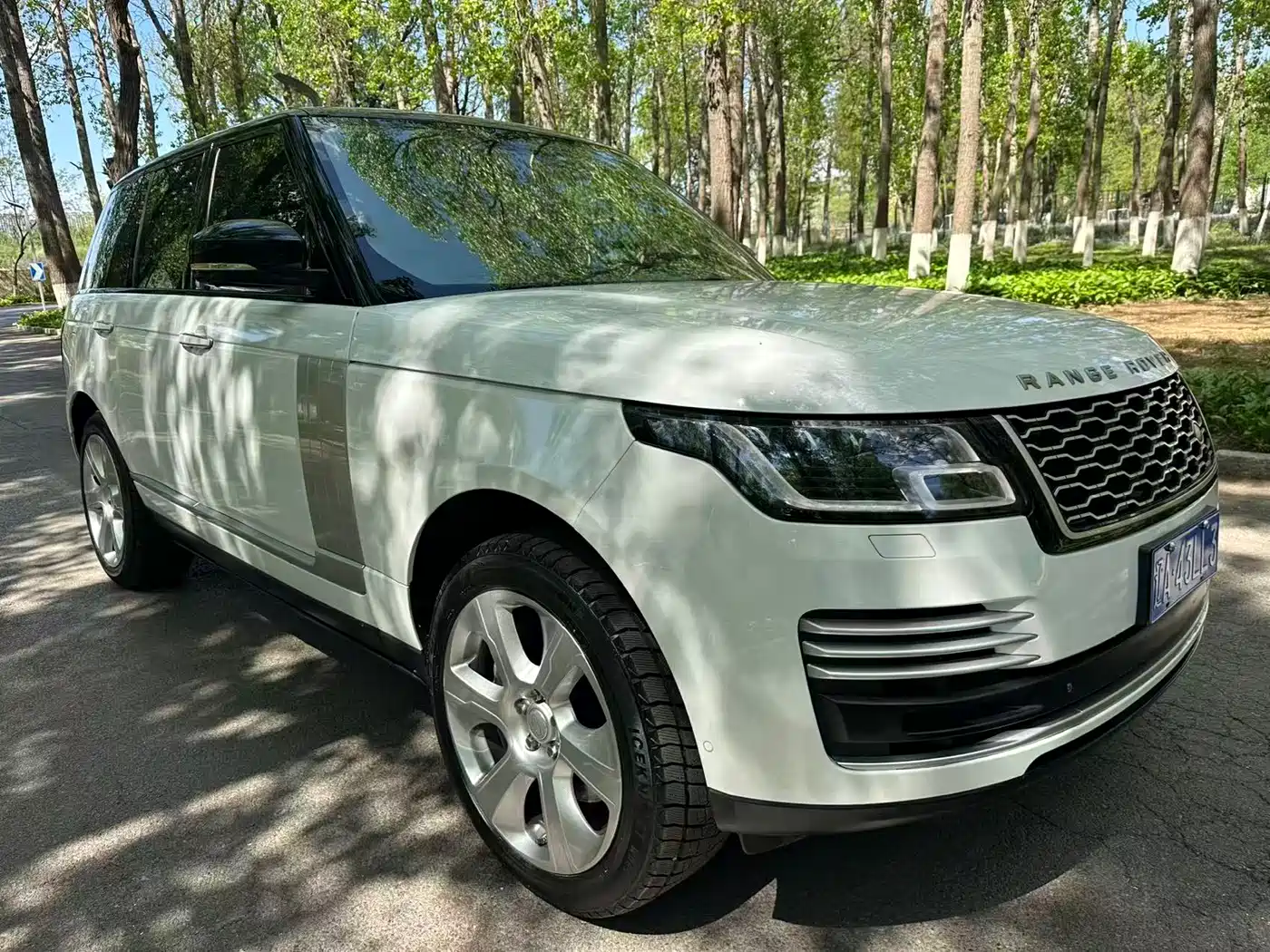 Land Rover Range Rover 2013 5.0 SC V8 Vogue SE фото 3