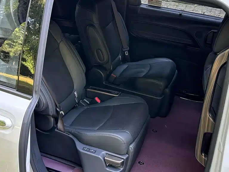 Фото 18 - Toyota Sienna