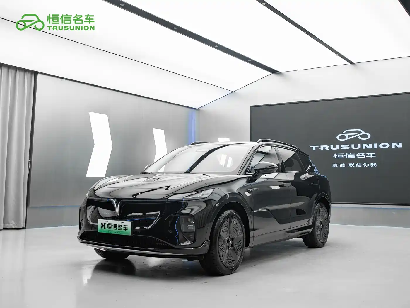 Voyah Auto Voyah Zhiyin 2024 4WD Global Edition