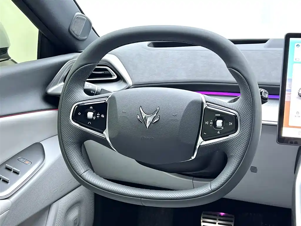 ARCFOX EXTREME FOX POLAR FOX ALPHA S5