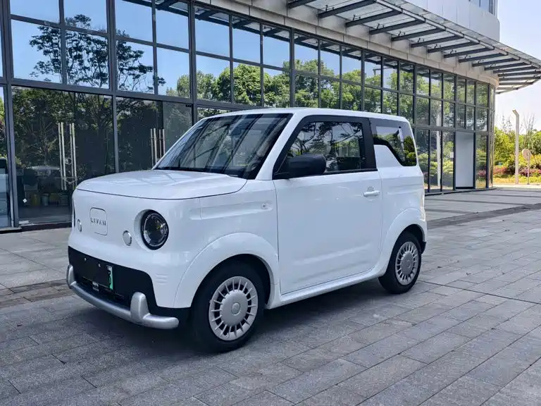  Ruilan Auto Ruilan Blue Elf 2025 Base Model