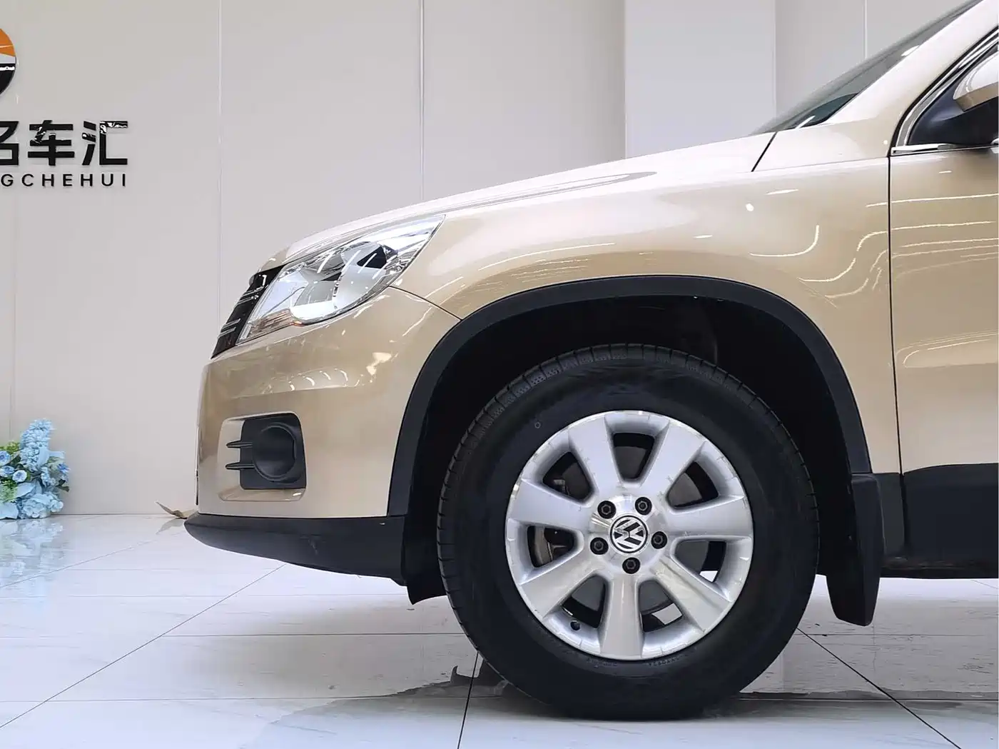 Volkswagen Tiguan 2012 1.8TSI Automatic 2WD Trend Edition фото 23