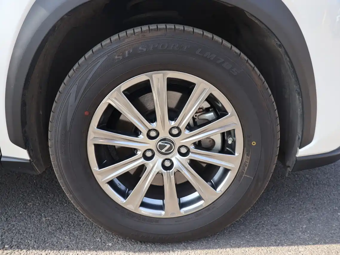Lexus NX 2018 Model 200 AWD Fengshang Edition China V фото 22