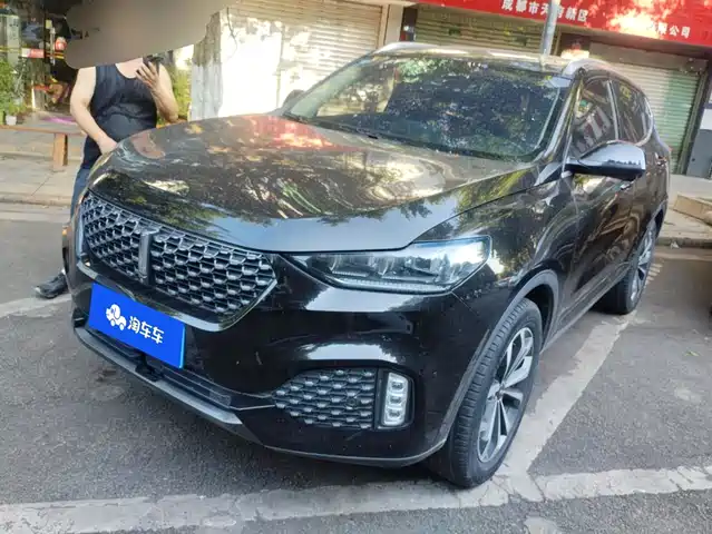 WEY VV6 2020